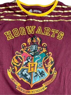 Youth Harry Potter Hogwarts Alumni Girls Tee S 6/7 Burgundy Graphic Shirt Cotton